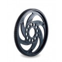 Axon Spur Gear 48P 80T