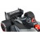 F1 2011 Mon-Tech