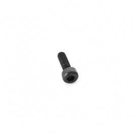 ARC 2.5x8mm Cap Screw (10)