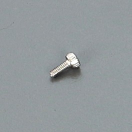 ARC 2x5mm Cap Screw (10) ARC 2x5mm Cap Screw (10)