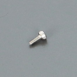 ARC 2x5mm Cap Screw (10)