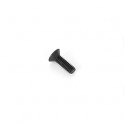 ARC 2.5x8mm Flat Screw (10)