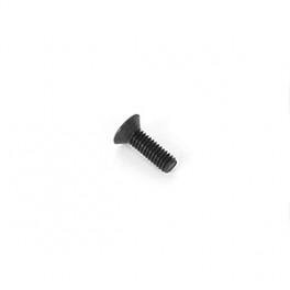 ARC 2.5x8mm Flat Screw (10) ARC 2.5x8mm Flat Screw (10)