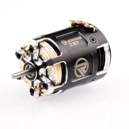 RUDDOG Racing RP542 5.0T Brushless Motor