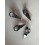 RC-PRO-SHOP Caster Gauge IRIS ONE 
