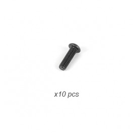 ARC 2.5x8 Round Screw (10)